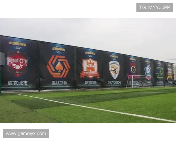 爱游戏体育平台官网未来发展规划，平台升级与创新方向的最新动态